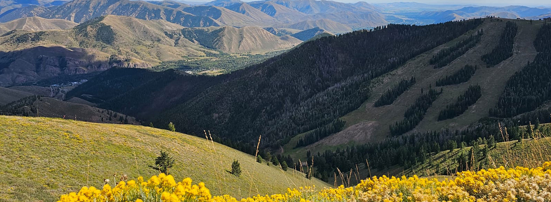 Idaho Health insurance coverage